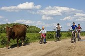 Children bringing a dairy cow Cycling Bierbrza Poland