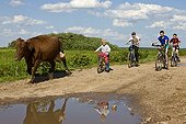 Children bringing a dairy cow Cycling Bierbrza Poland