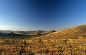 Landscape of Reserve Pilanesberg South Africa 