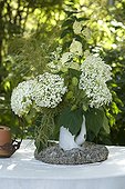 Bouquet of hydrangea 'Annabelle' on a garden table