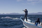 Scientists and Blue Whale  Sea of Cortez Mexico ; Character : Richard Sears