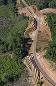 Road construction and burning in primary forest Guyana 