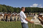 Submission of Cows Contest agricultural Franche-Comte France