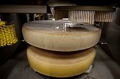 Robot for brushing and turning the Comté (cheese) France  ; Cooperative Mont Rivel