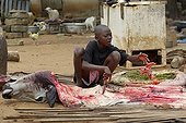 Young Beninese ending butchering of a cow Benin