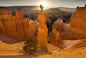 "Thors Hammer" iconic hoodoo in Bryce Canyon NP USA