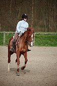 Young rider galloping on horseback France