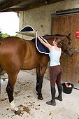 Setting up the saddle blanket on the back of a horse France