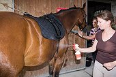 Spraying anti horseflies and mosquitoes on a Horse