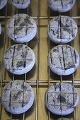 Goat cheese on a grid France 