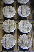 Goat cheese on a grid France 