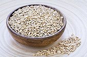 Seeds of oats in a dry wooden bowl