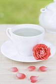 Cup of Rose herbal tea and Rose in Saucer