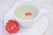 Cup of Rose herbal tea and Rose in Saucer