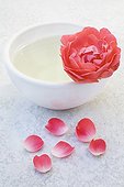 Bowl of herbal tea with rose petals and a Rose