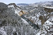 Yellowstone River near Fall Detower Yellowstone NP USA 