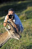 Photographer and ibex Creux-du-Van Jura Switzerland