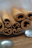 Cinnamon bark for the preparation of dessert ; Cinnamon is the inner bark of the cinnamon of Ceylon