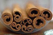 Cinnamon bark for the preparation of dessert ; Cinnamon is the inner bark of the cinnamon of Ceylon
