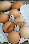 Chickens or eggs from poultry raised outdoors 