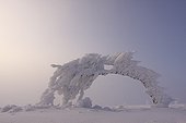 Sculpture by the wind and snow Hohneck mountains France