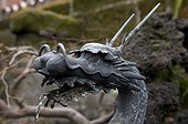 Fountain Head Dragon Tokyo Japan