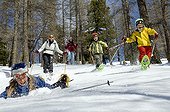 Descent into the forest on snowshoes Queyras Alps France 
