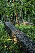 Gabion walls in the undergrowth Park Aqua Magica Germany  ; Designer: Agence TER 