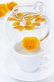 Tea flower California poppy