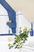 Ivy in a bathroom ; Plant air-filtering soil