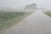 Hail during a thunderstorm in Ain France 