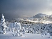 Mount Ernest-Laforce and snowy forest in Canada