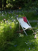 Prairie flowers in summer Jardin de Campagne France