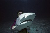 Scientist revives Tiger Shark Bahamas ; Scientist saves Tiger Shark hooked on long-line fishing hook