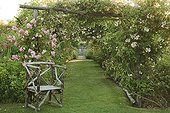 Armchair in wood-lined drive Climbing roses  ; Les Jardins de Roquelin