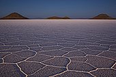 Landscape of the Salar de Uyuni world's largest salt pan ; Hexagons evolve a few months after salt pan has dried up