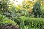 Palmate Rhubarb and iris at the poolside Jardin des Lianes ; <br>Le jardin des Lianes