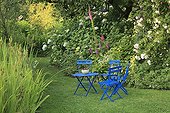 Table and chairs in front of Rose 'Ghislaine de Feligonde' ; Le jardin des lianes
