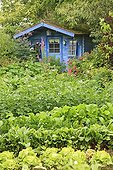 Vegetable Garden and Blue Hut Le Jardin des Lianes ; Le jardin des lianes