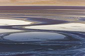 Laguna Colorada with James' flamingos Altiplano Bolivia ; The salt lake contains borax islands, whose white color contrasts with the reddish color of its waters, which is caused by red sediments and pigmentation of some algae