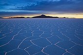 Salar de Uyuni with volcano Tunupa Altiplano Bolivia ; Hexagons evolve a few months after salt pan has dried up