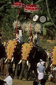 Adorned Elephants during the Pooram festival Kerala India
