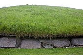 Knowth a neolithic passage grave in Irland ; Tumulus