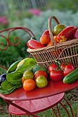 Table of fruits and vegetables in herb garden France