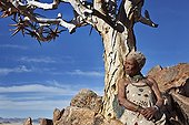 Ederly San woman leaning against quiver tree Namibia ; In the private reserve named "N/a’an ku sê", welfare programs and health support converge to maintain populations of Bushmen in good health and to reintroduce the wild Cheetahs. This nomadic group of hunter-gatherers has a history dating back over 20,000 years. Their close relationship and perfect their knowledge of animals allowed to live and feed in the deserts of southern Africa.