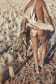 San hunter armed with traditional bow and arrow with cheetah ; In the private reserve named "N/a’an ku sê", welfare programs and health support converge to maintain populations of Bushmen in good health and to reintroduce the wild Cheetahs. This nomadic group of hunter-gatherers has a history dating back over 20,000 years. Their close relationship and perfect their knowledge of animals allowed to live and feed in the deserts of southern Africa.