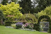 Arche de Charme à l'entrée d'un jardin ; Rosier 'Play Rose'. Chataire 'Six Hills Giant'. Catalpa 'Aurea'
