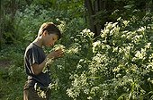 Boy observing a wild chervil flowers in a park