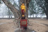 Statue under a mango tree in the morning mist Lumbini Nepal