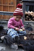 Child peeling a potato on the skin of Yack Chame Nepal